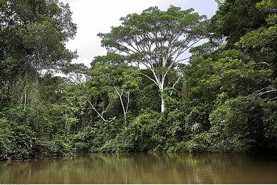 公会管理冒险游戏《The Blue Cut Hook》Steam页面开放 明年发售